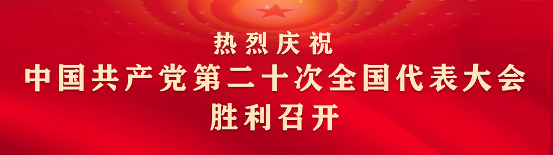 党的二十大热线贴片02.jpg