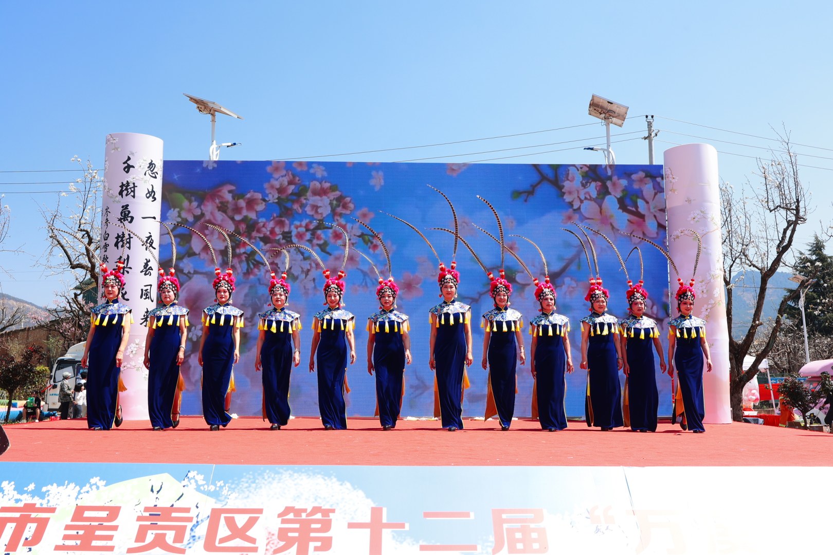 呈贡万溪梨花节盛装登场两株梨王树尽显百年风华