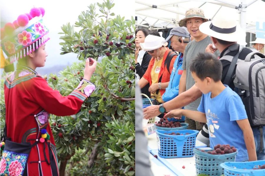 罗免镇:"三聚焦"做靓乡村旅游"新名片"