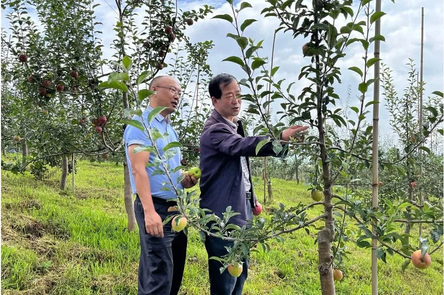 罗免镇:"三聚焦"做靓乡村旅游"新名片"