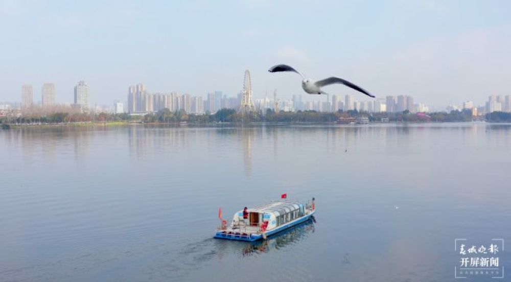 （采訪傳編輯）昆明觀鷗季“海陸空”全方位攻略，記者帶您玩轉(zhuǎn)冬日浪漫，水上觀鷗巴士可以欣賞到大觀公園、七孔浮橋等.jpg