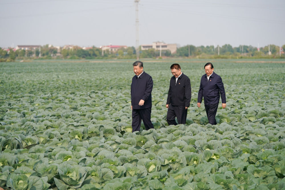 2024年11月5日，習(xí)近平總書記在湖北嘉魚潘家灣鎮(zhèn)十里蔬菜長(zhǎng)廊考察。