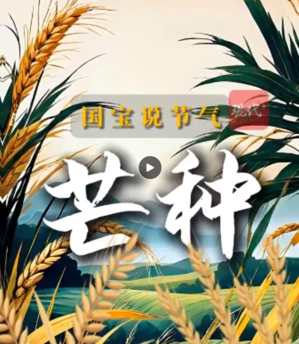 文脉华章|国宝里的"芒种",生生不息的华夏密码