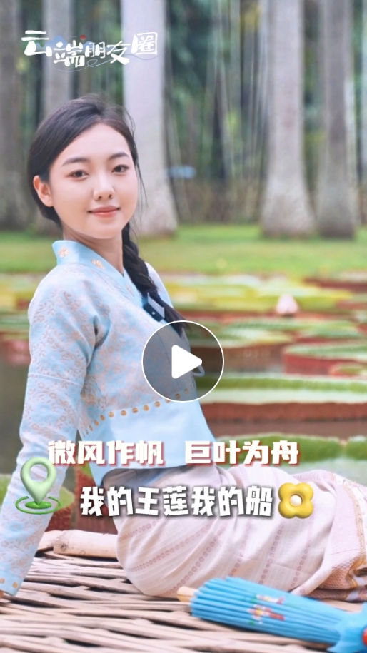 【云端朋友圈】一叶当舟 感受坐立在王莲上的魅力